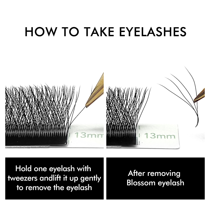 NATUHANA W-Shaped 4D 5D Volume - Eyelash Extension For Asian Eyes ulasan dan harga