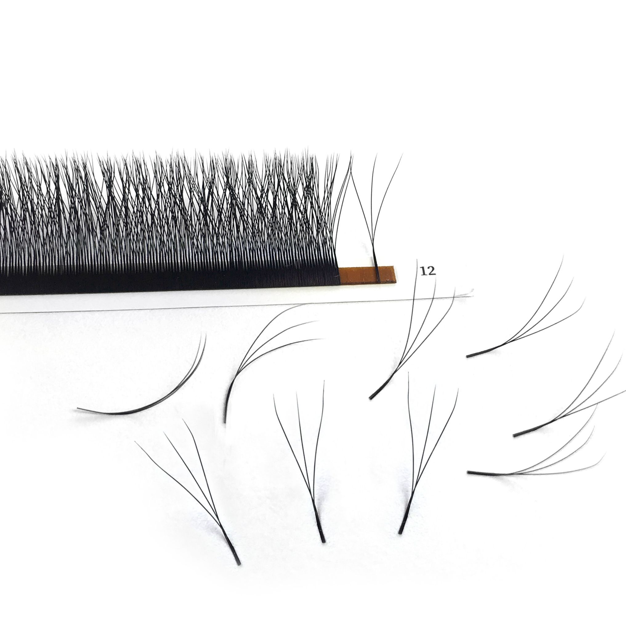 3D W Shape Lashes Extensions P - Eyelash Extension Human Hair ulasan dan harga